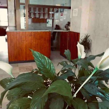La Posada Del Viajero Lejlighed Torremolinos Eksteriør billede